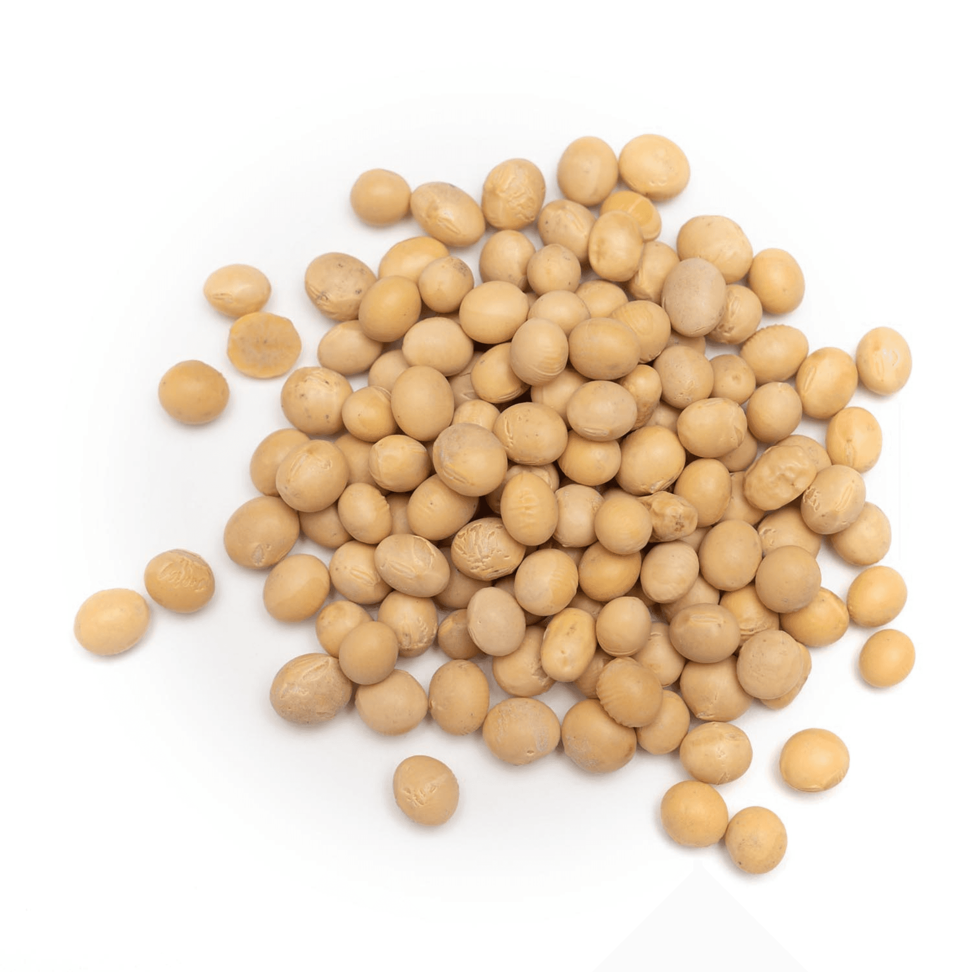 Soya Beans